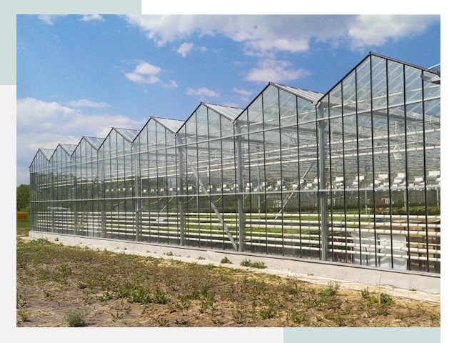 Строительство теплиц в Рыбинск от 624 руб. за м²